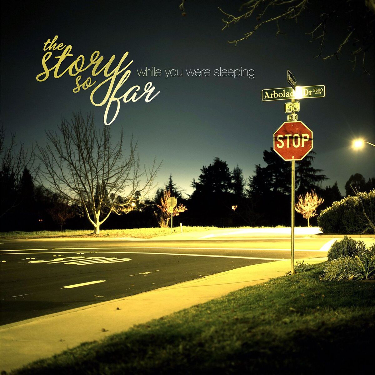 Album cover of While You Were Sleeping