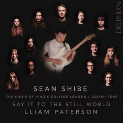 Cover of Say It to the Still World