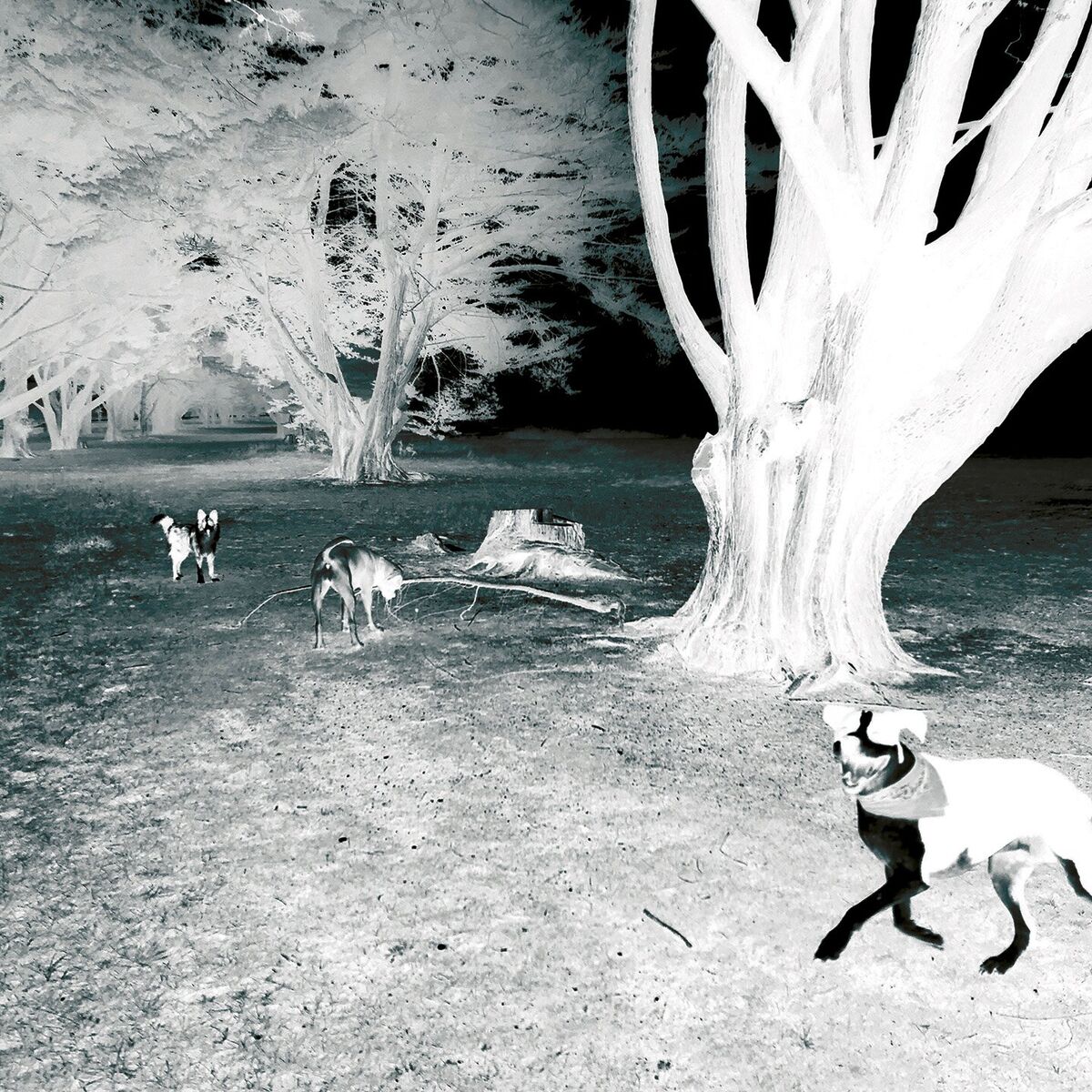 Album cover of Along The Line