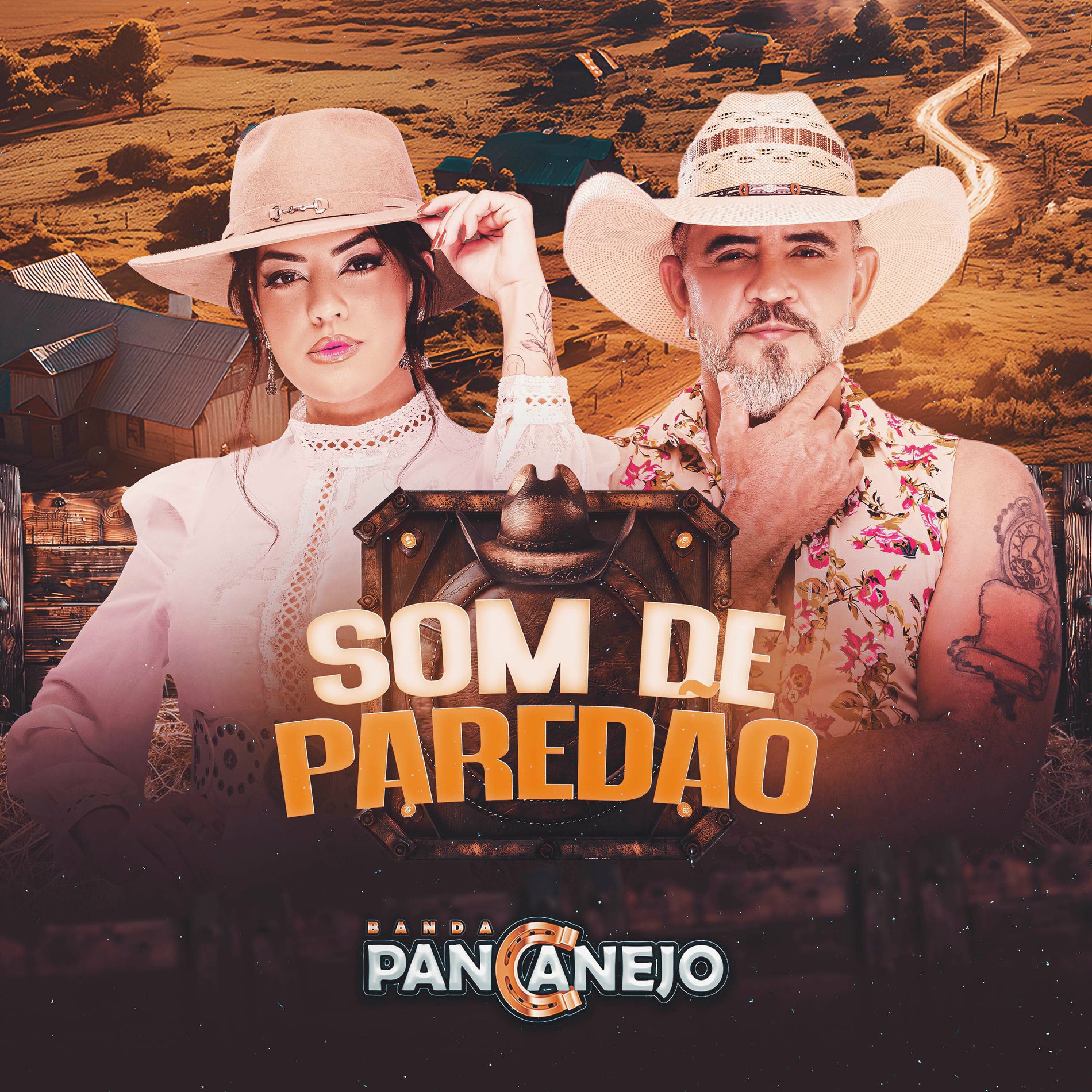 Album cover of Som de Paredão