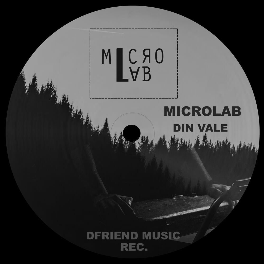 Picture of Din Vale