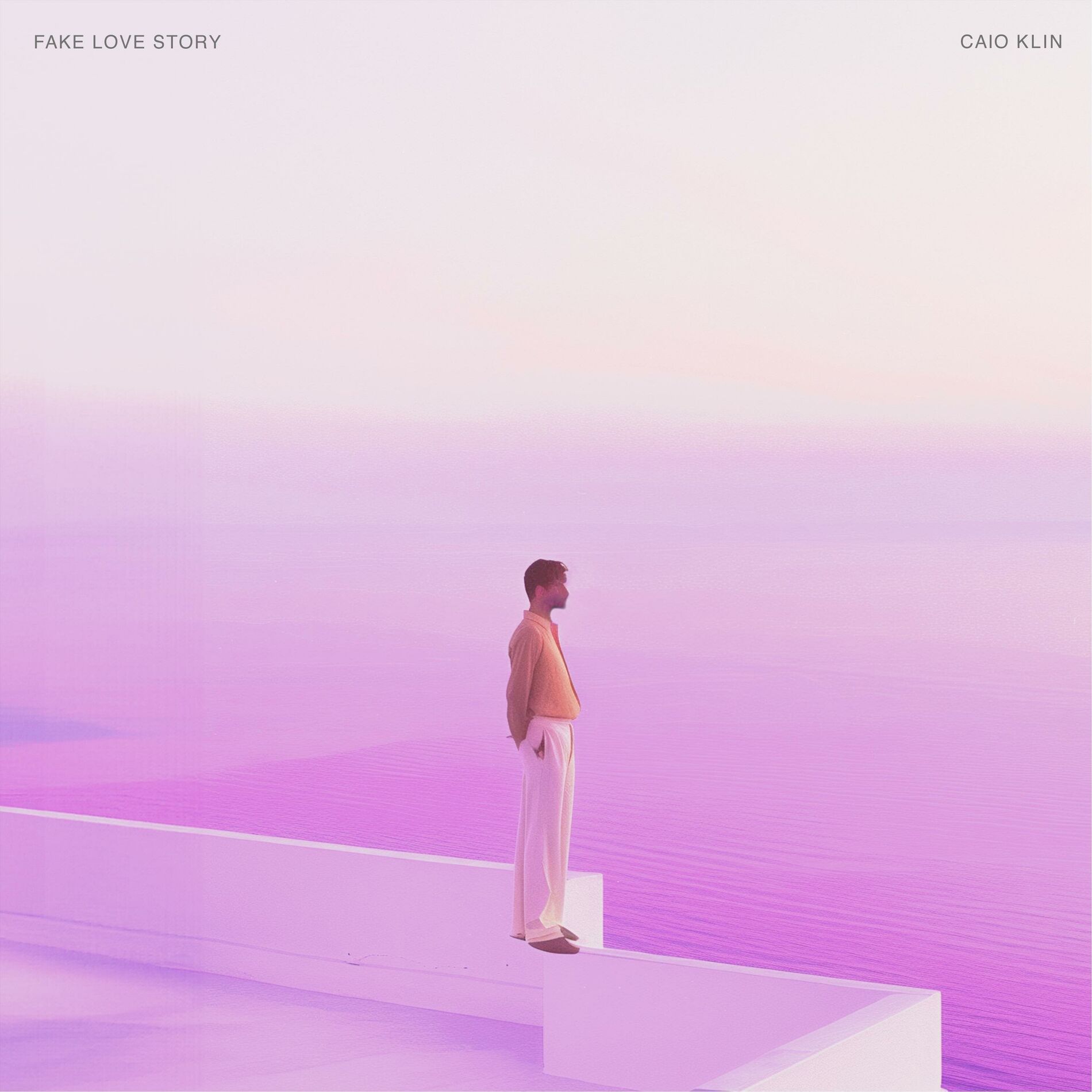 Album cover of Fake Love Story