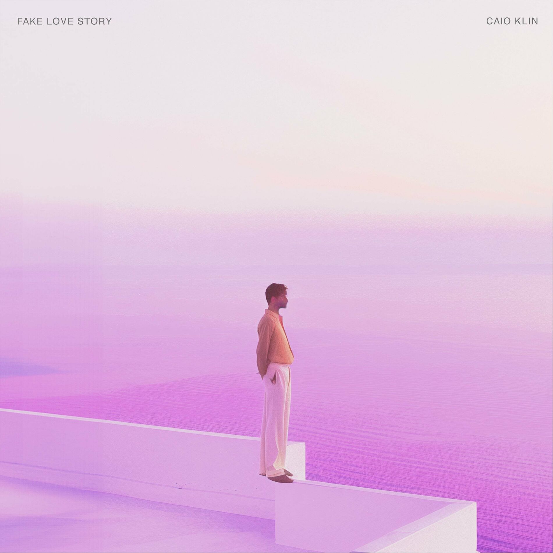 Album cover of Fake Love Story