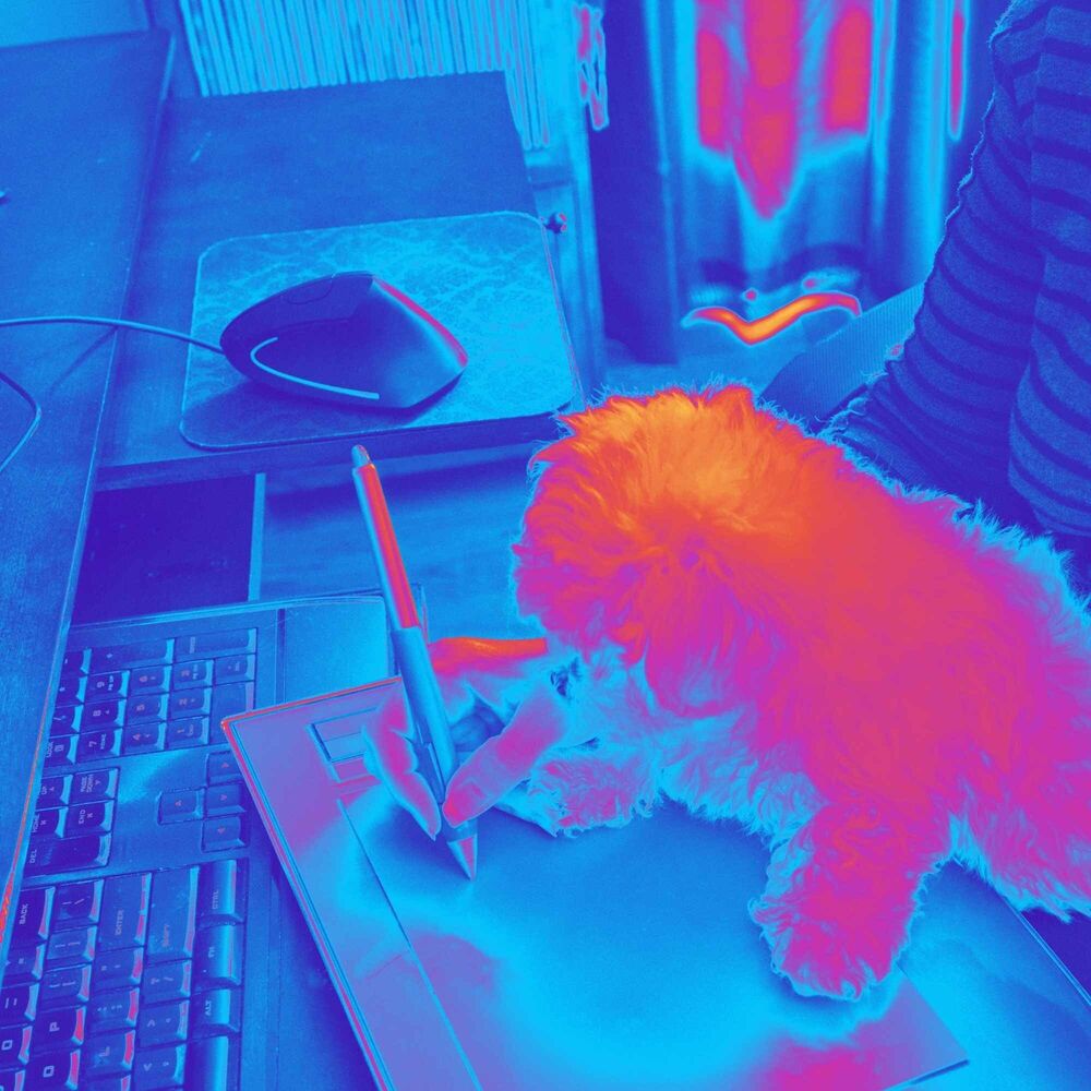 Picture of Bgm for Legendary Puppy