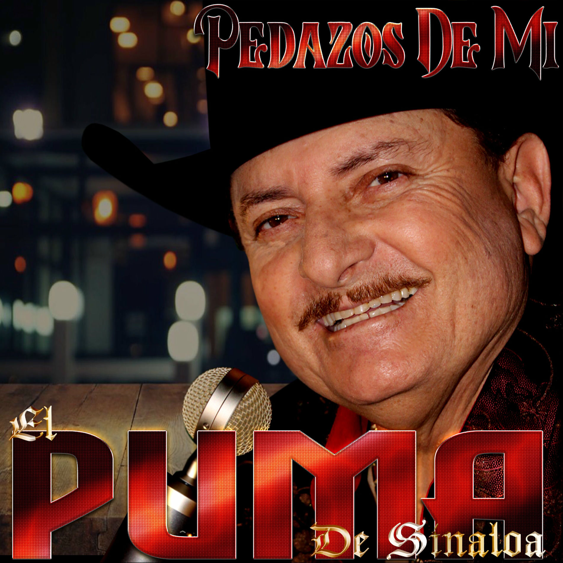 Album cover of Pedazos de Mi