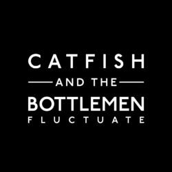 Cover of Fluctuate