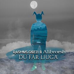 Cover of DU FÅR LJUGA