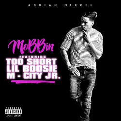 Cover of Mobbin