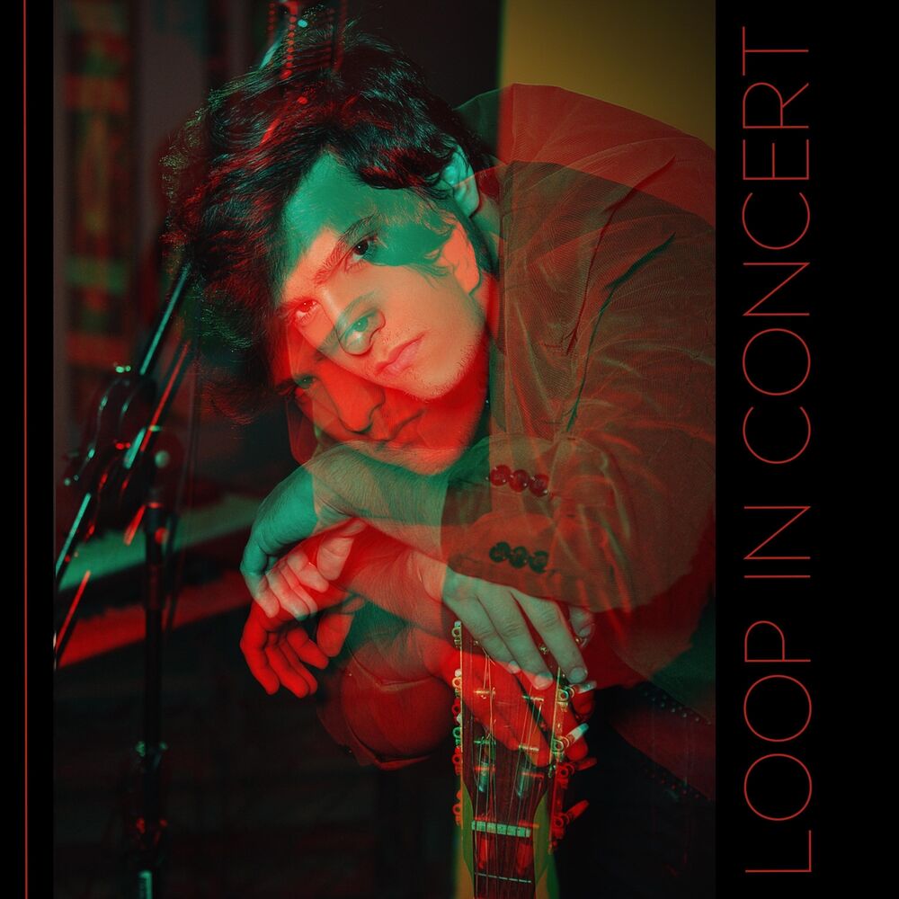 Picture of Loop in Concert