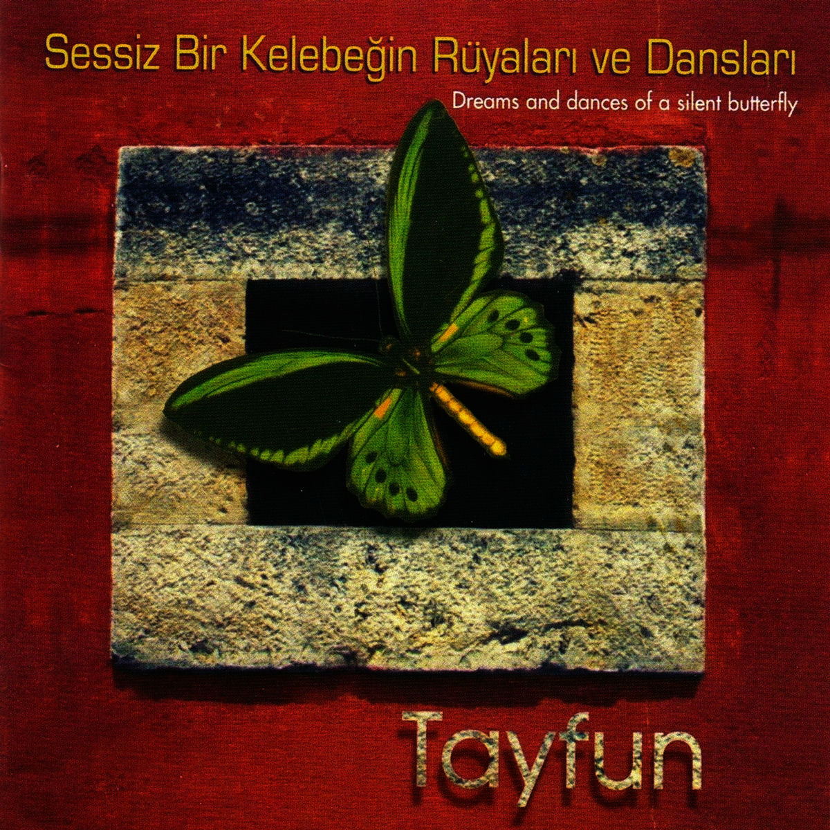 Album cover of Sessiz Bir Kelebeğin Rüyaları ve Dansları