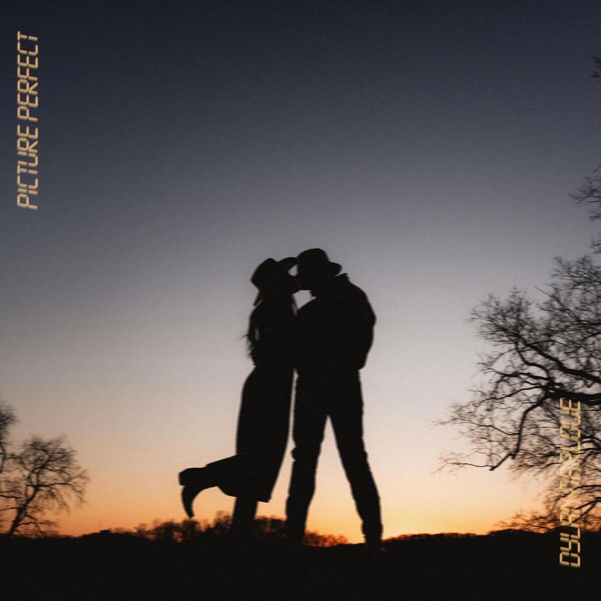 Album cover of Picture Perfect