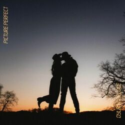 Cover of Picture Perfect
