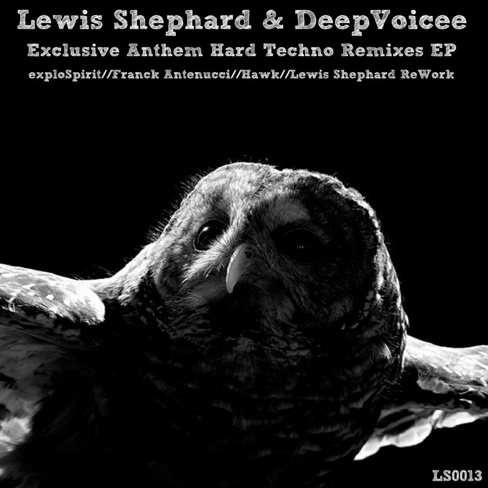 Picture of Exclusive Anthem Hard Techno Remixes EP