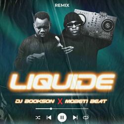 Cover of Liquide