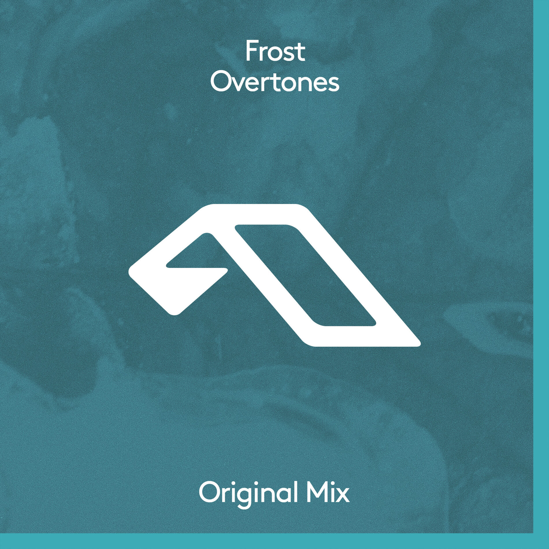 Album cover of Overtones