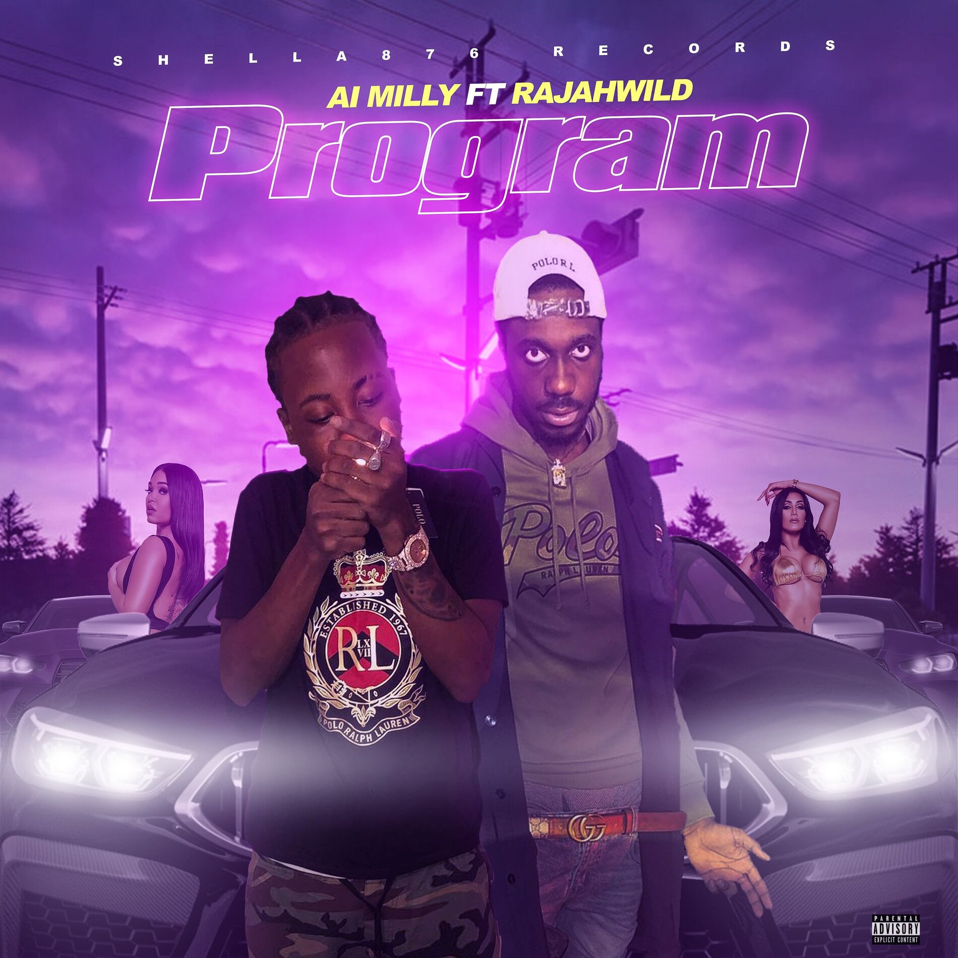 Album cover of Program
