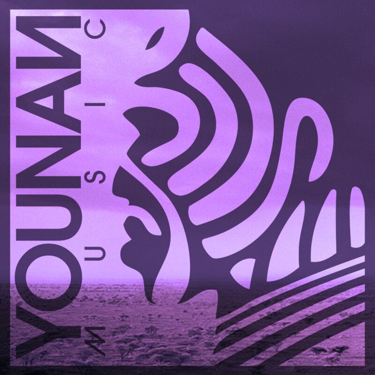 Album cover of Tribe Vibes 2 (DJ Mix)