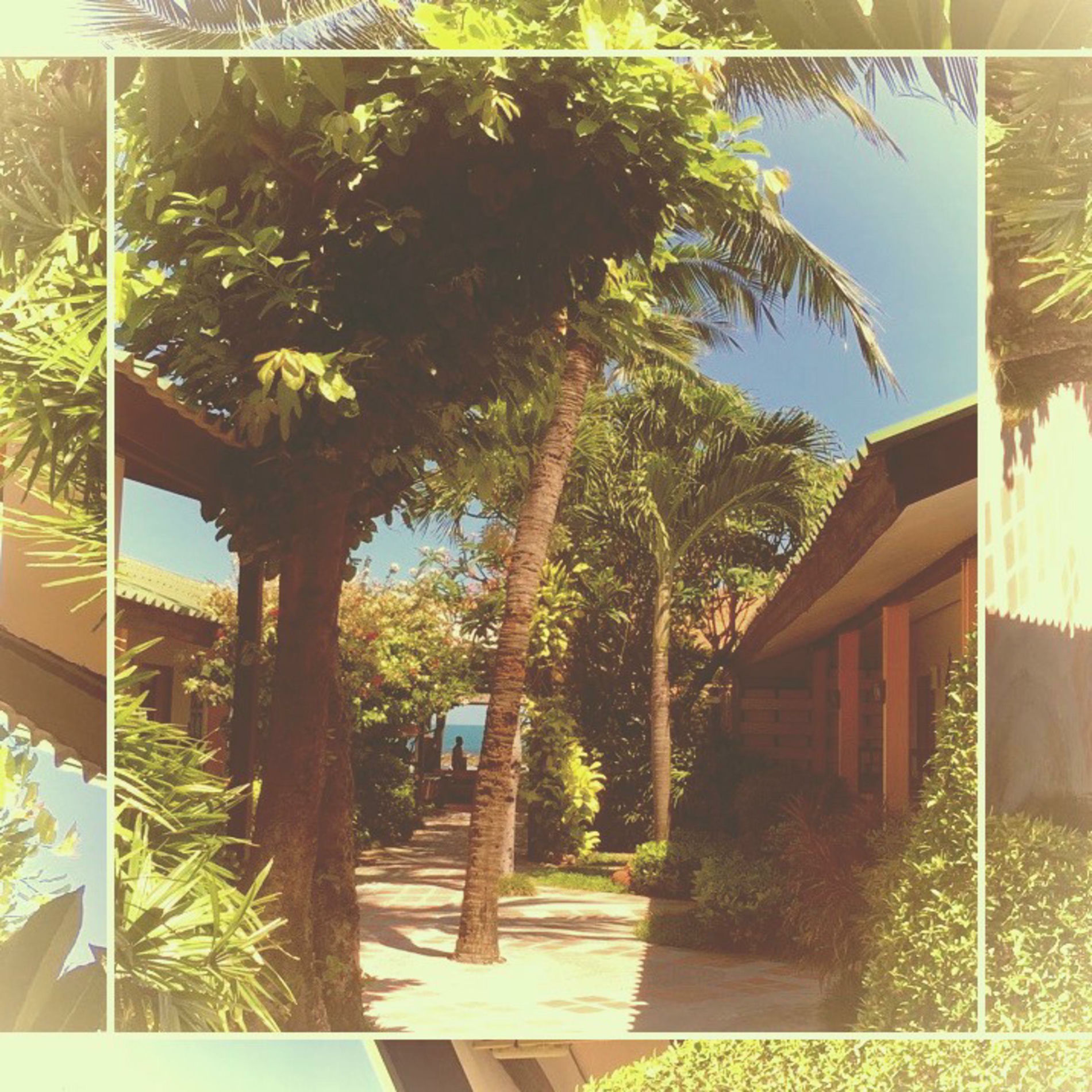 Album cover of Last days of summer