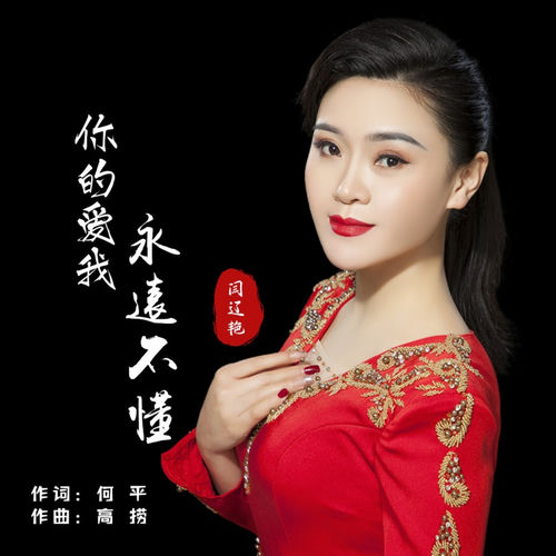 你的爱我永远不懂 (DJ默涵版)