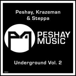 Cover of Underground, Vol. 2