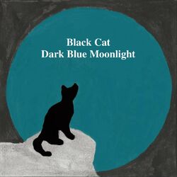 Cover of Dark Blue Moonlight