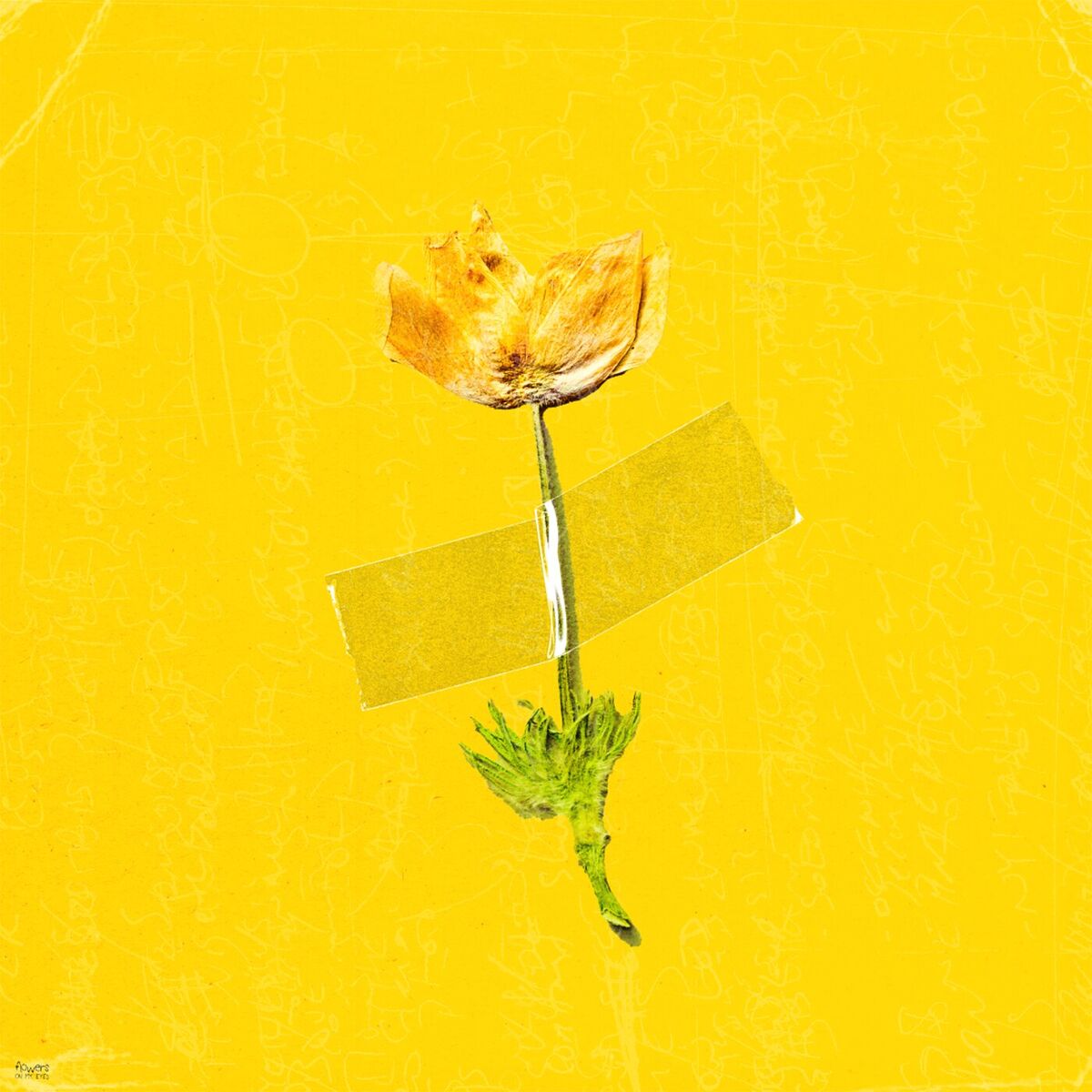 Album cover of flowers on my eyes