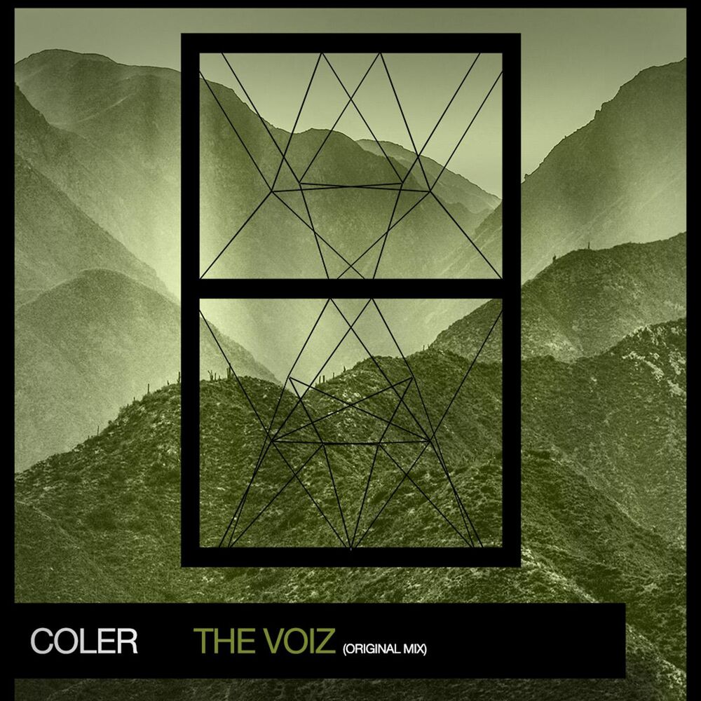 Picture of The Voiz