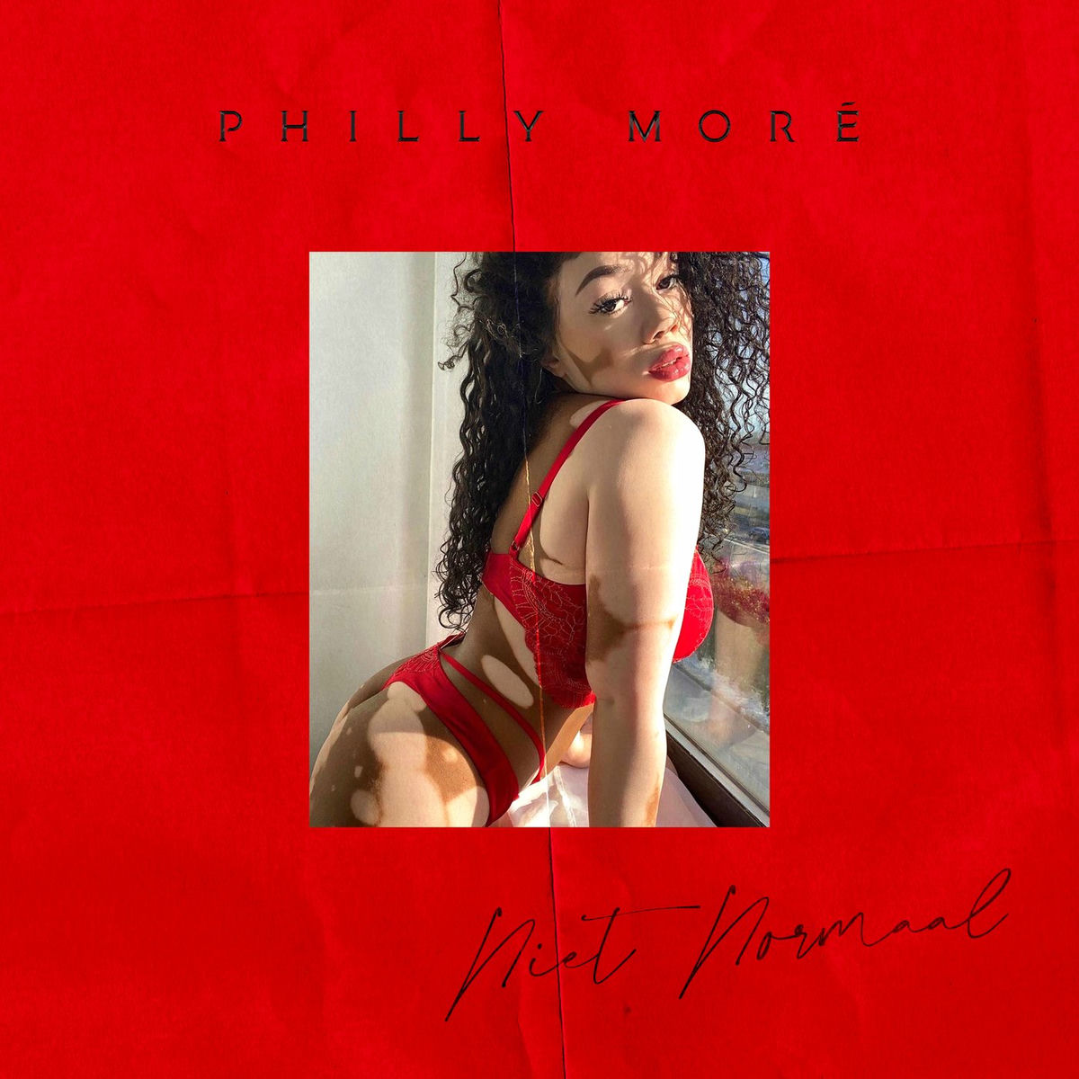 Album cover of Niet Normaal