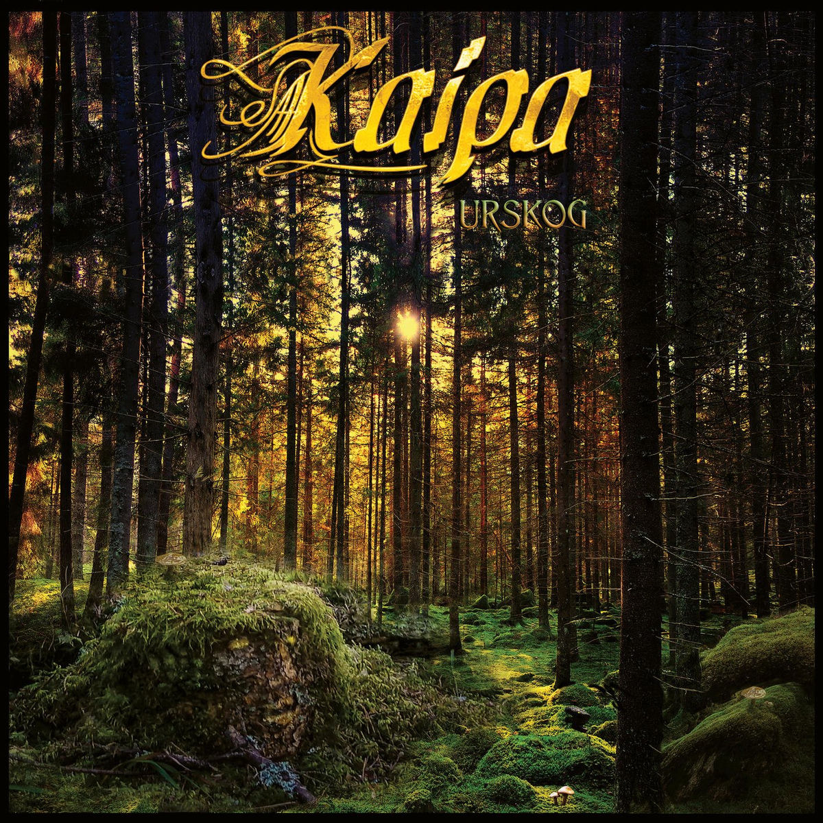 Kaipa: albums, songs, concerts | Deezer