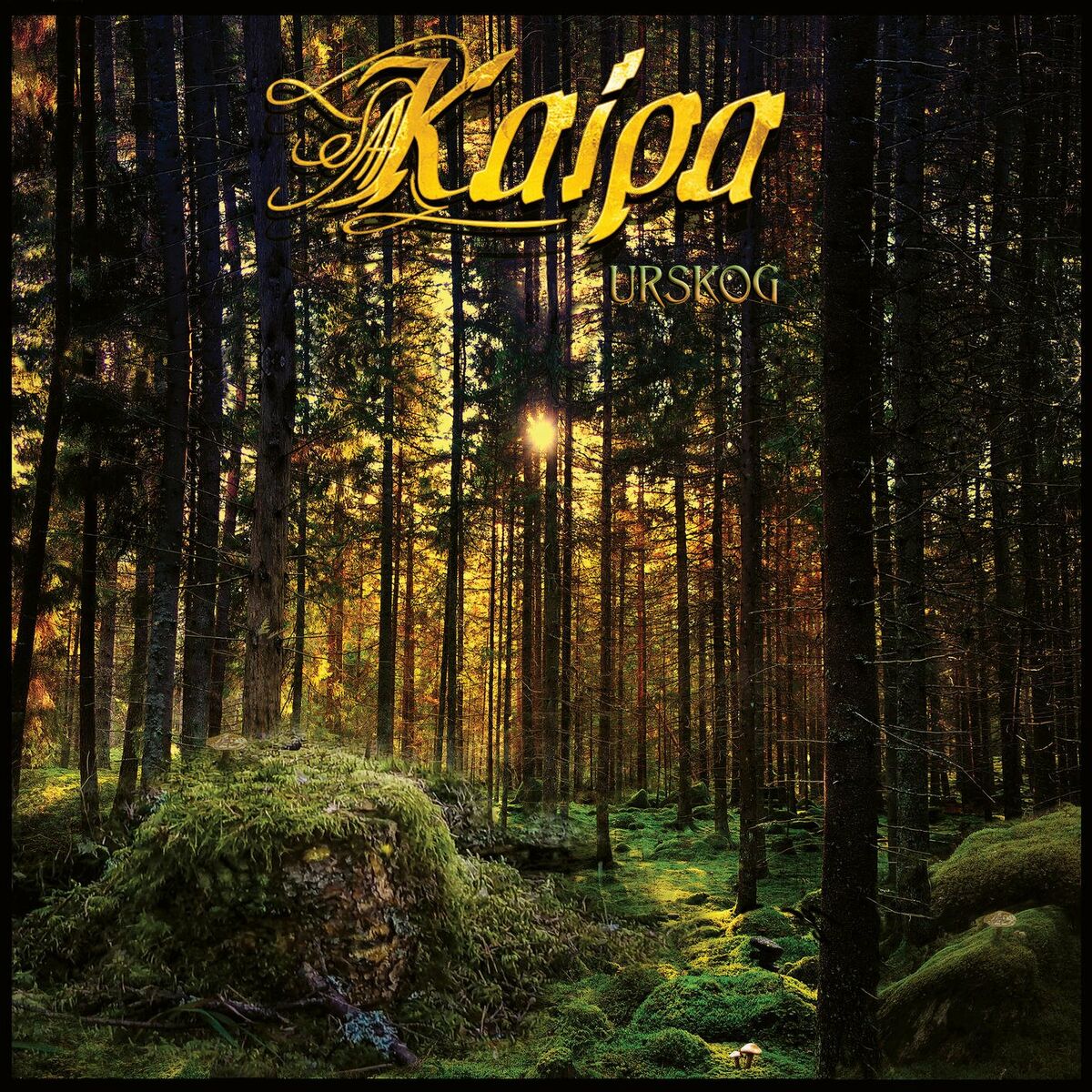Album cover of Urskog