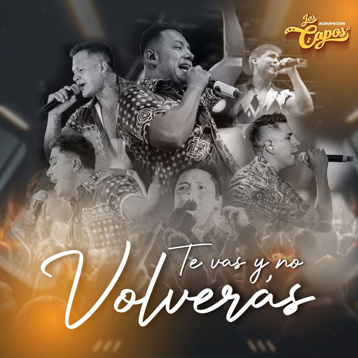 Album cover of Te Vas y No Volverás
