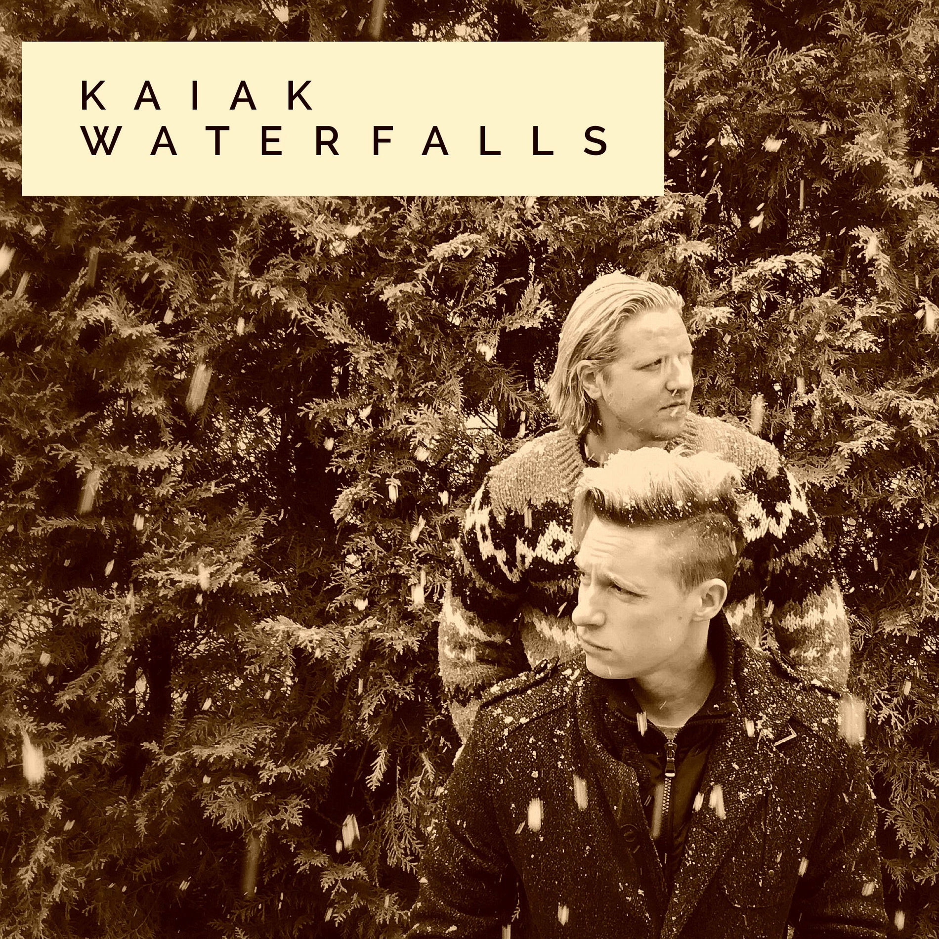 Album cover of Waterfalls