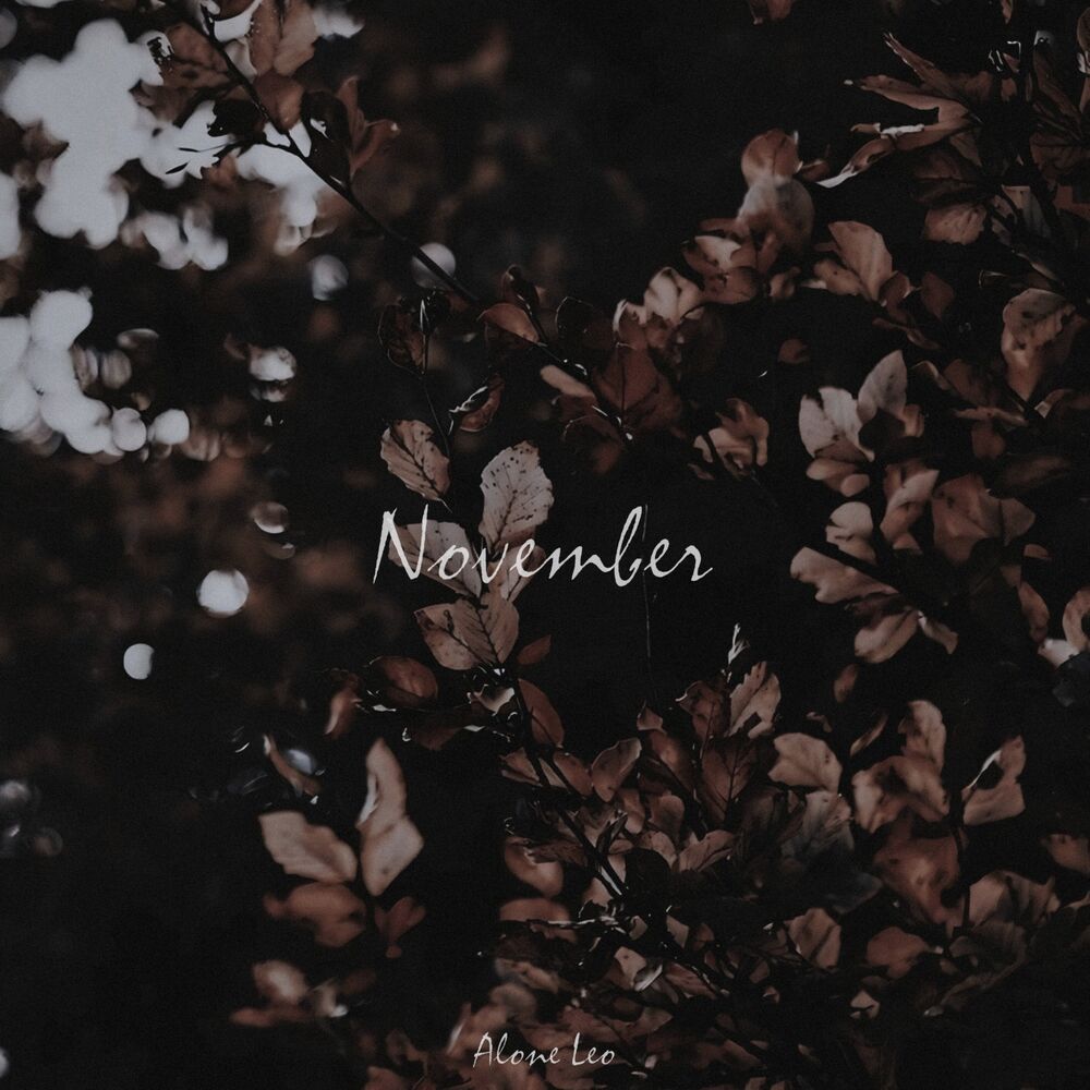 Picture of November