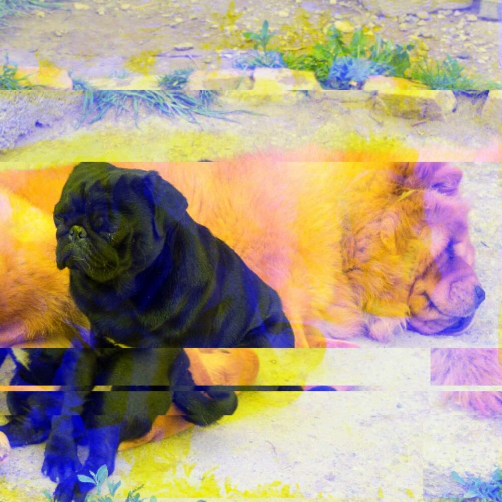 Picture of Piano Duo Jazz - Bgm for Unwinding Doggo