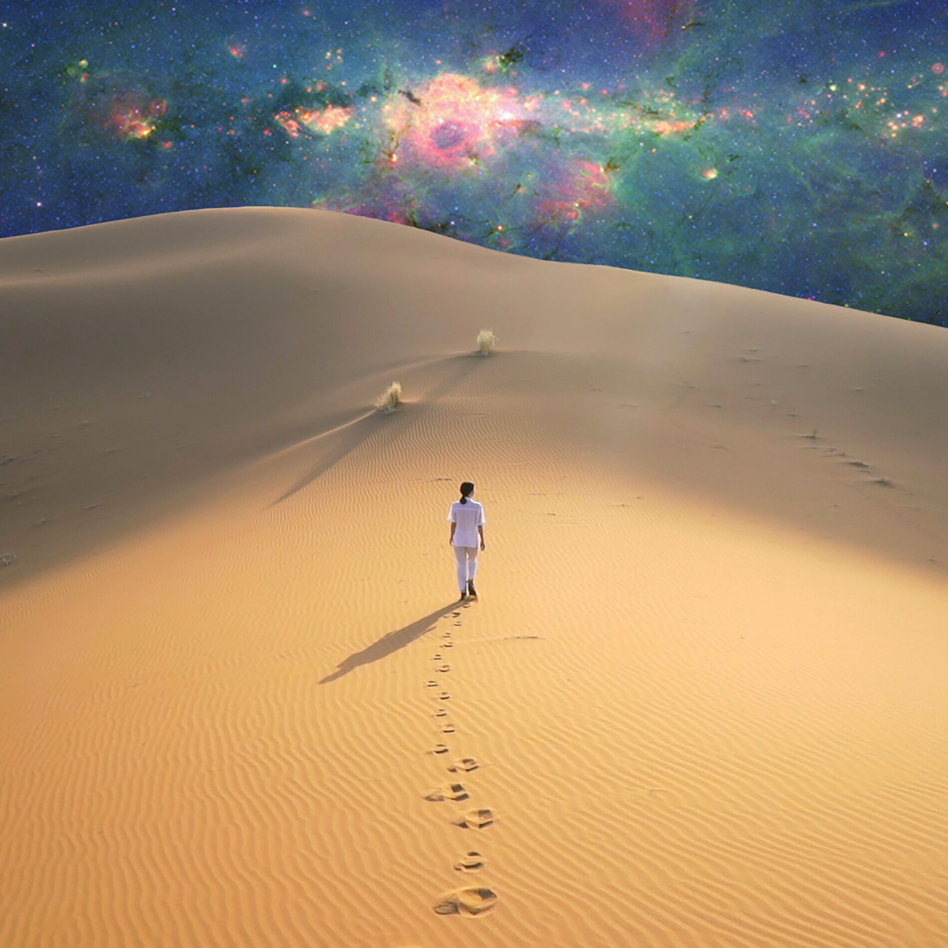 Album cover of Dune Solitaire