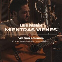 Cover of Mientras Vienes (Versión Acústica)