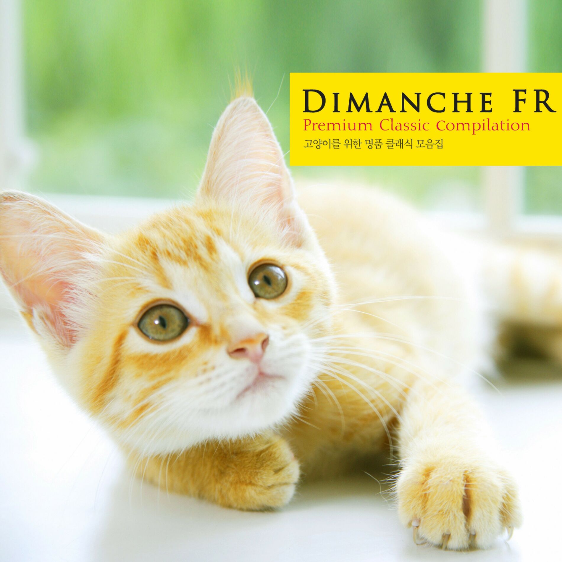 Album cover of Luxury Classical Collection for Cats