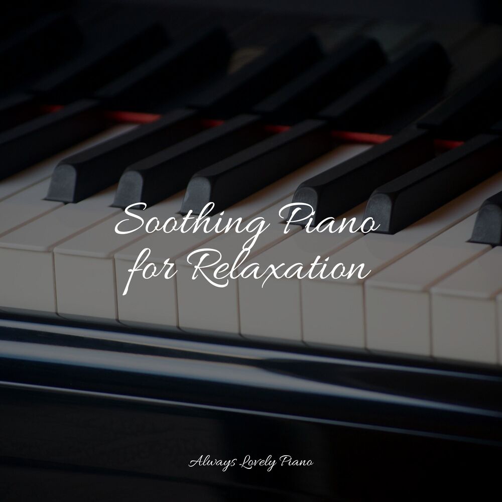 Picture of Piano for the Perfect Zone