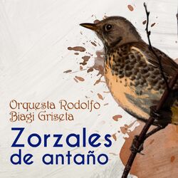 Cover of Zorzales de Antaño - Orquesta Rodolfo Biagi - Griseta