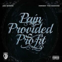 Cover of Pain Provided Profit