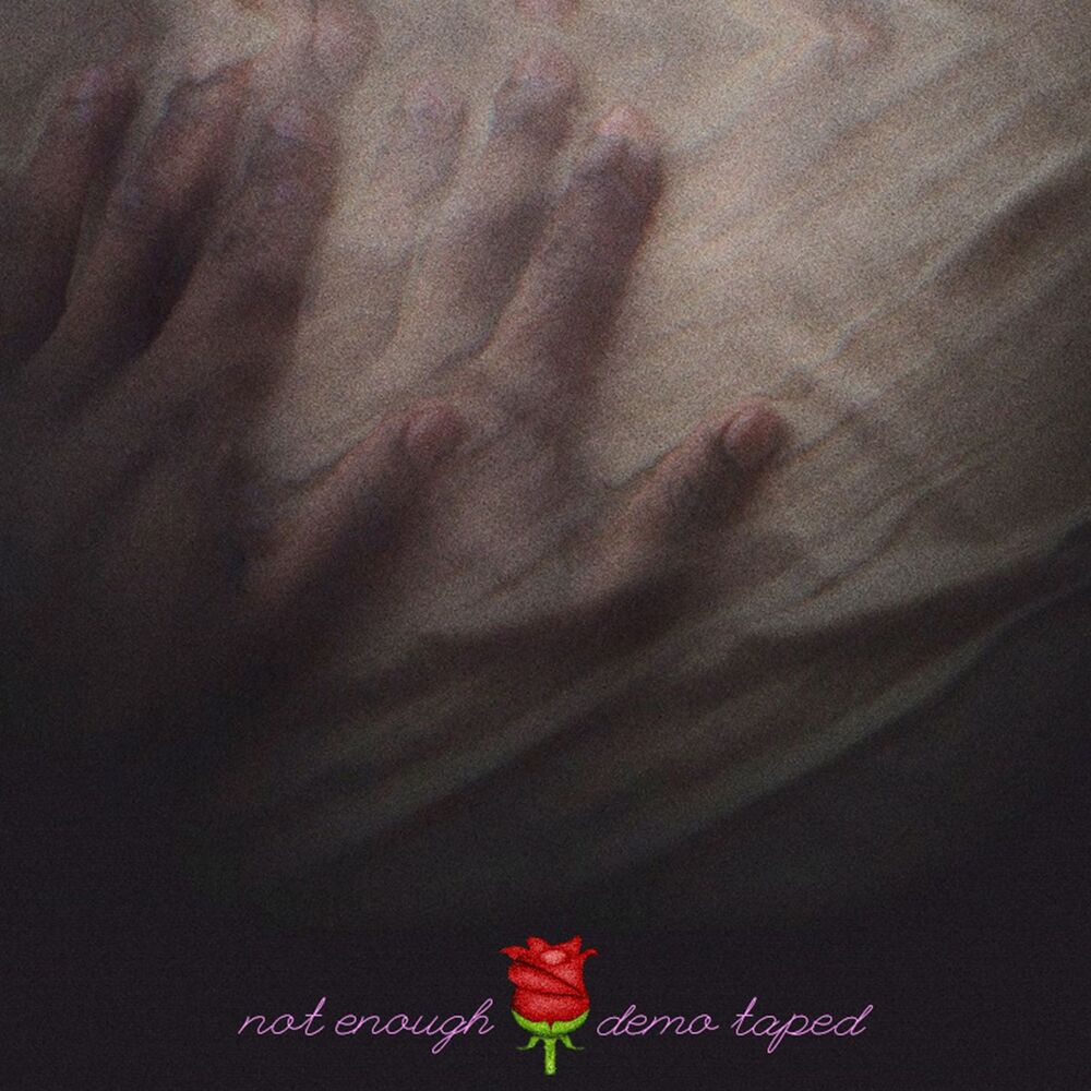Picture of Not Enough
