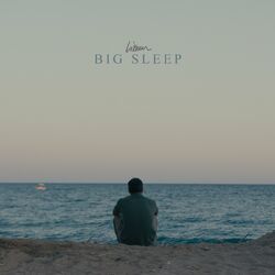 Cover of Big Sleep