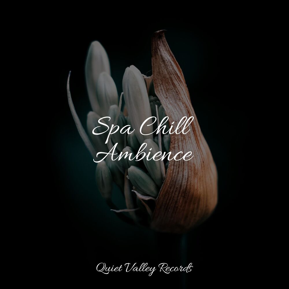 Picture of Spa Chill Ambience