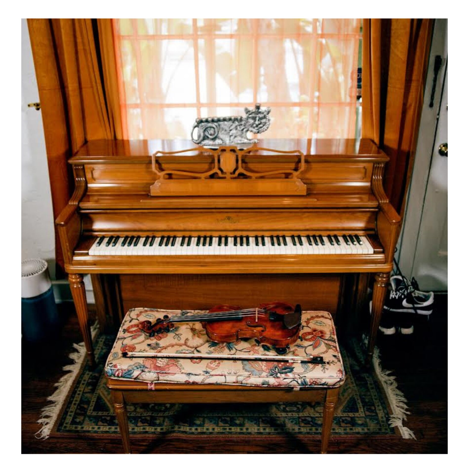 Album cover of Explore the Forest