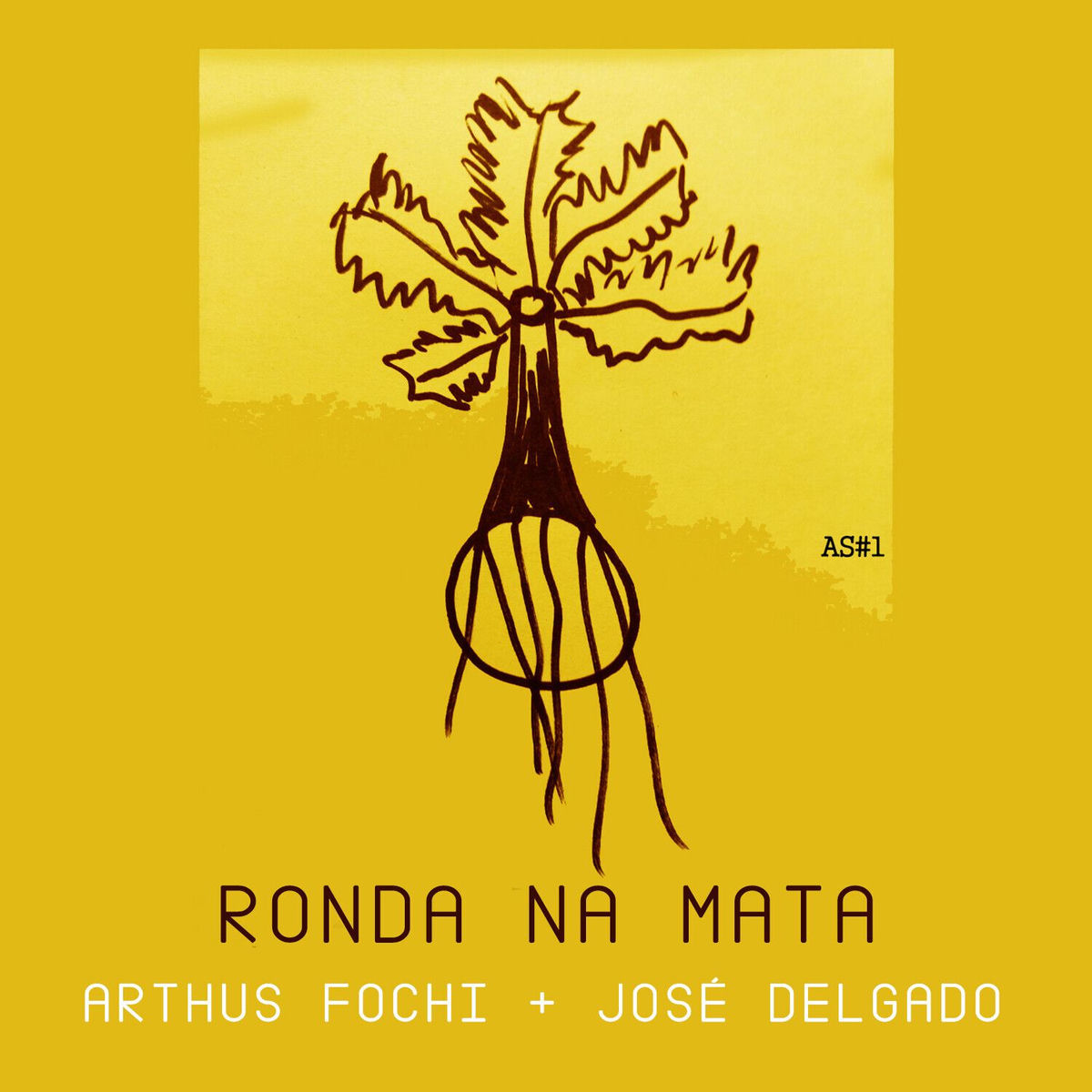 Album cover of Ronda na Mata