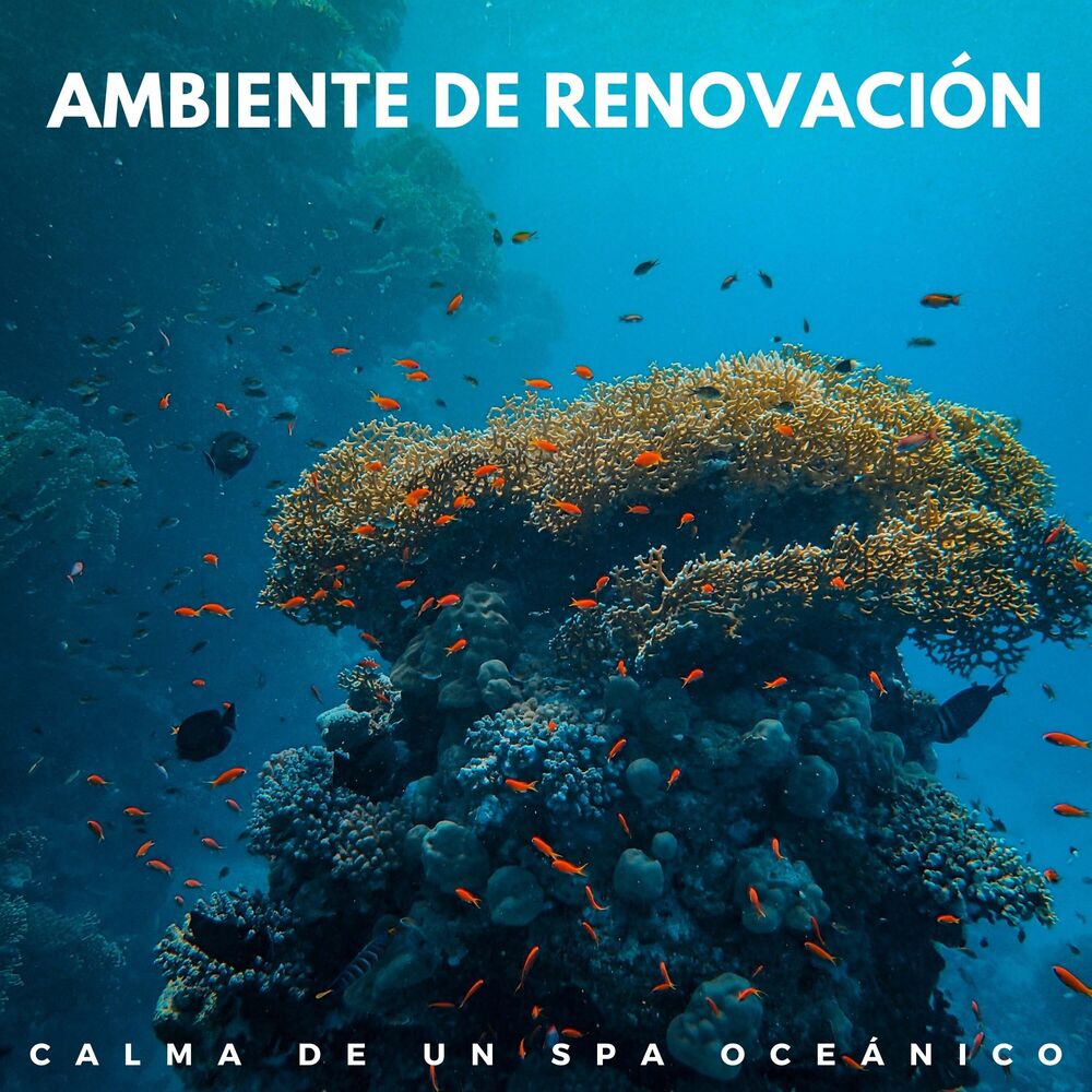 Picture of Ambiente De Renovación: Calma De Un Spa Oceánico