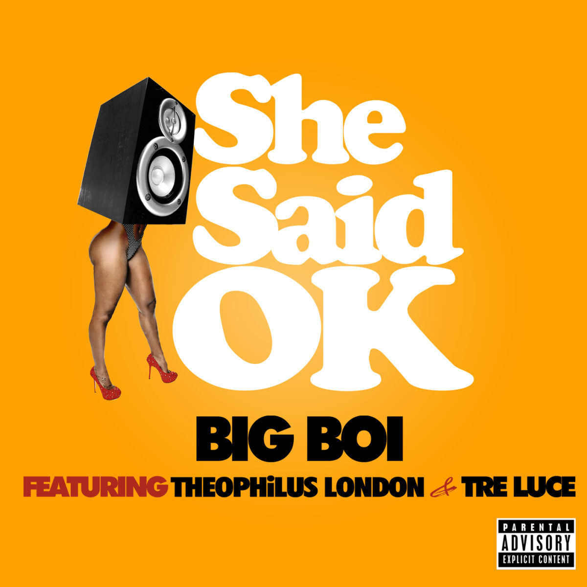 Album cover of She Said OK