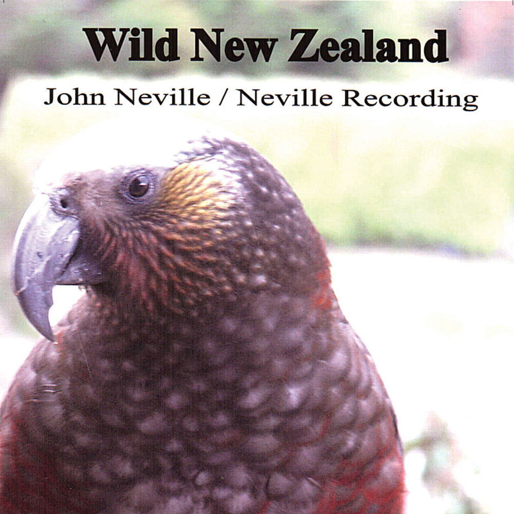 Picture of Wild New Zealand