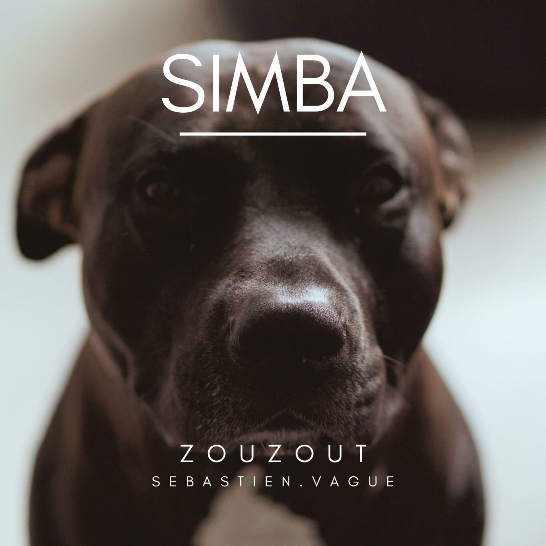 Album cover of Simba
