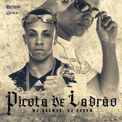 Cover of Picota de Ladrão
